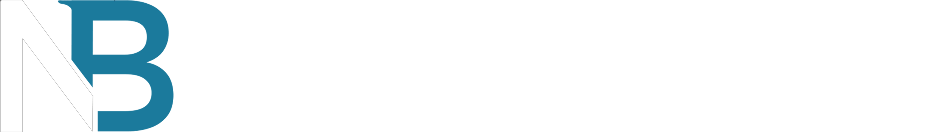 NB Consulting